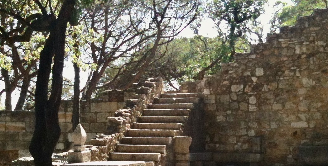 Staircase to Focusing Trainer Certification