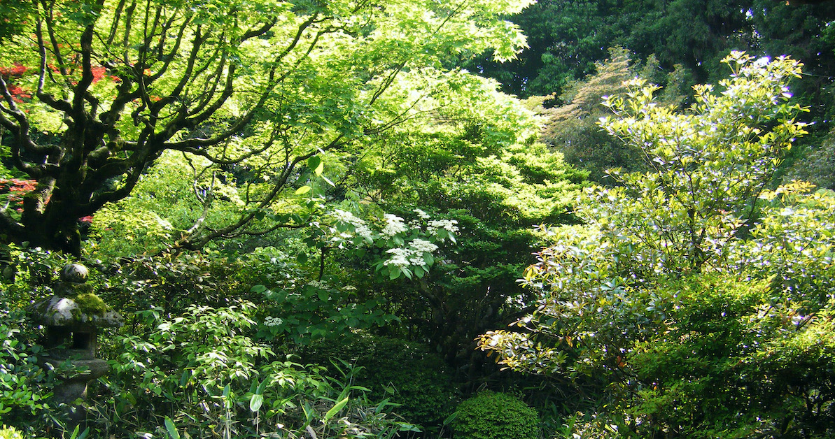 Gendlin's A Process Model