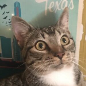 Profile photo of Sally