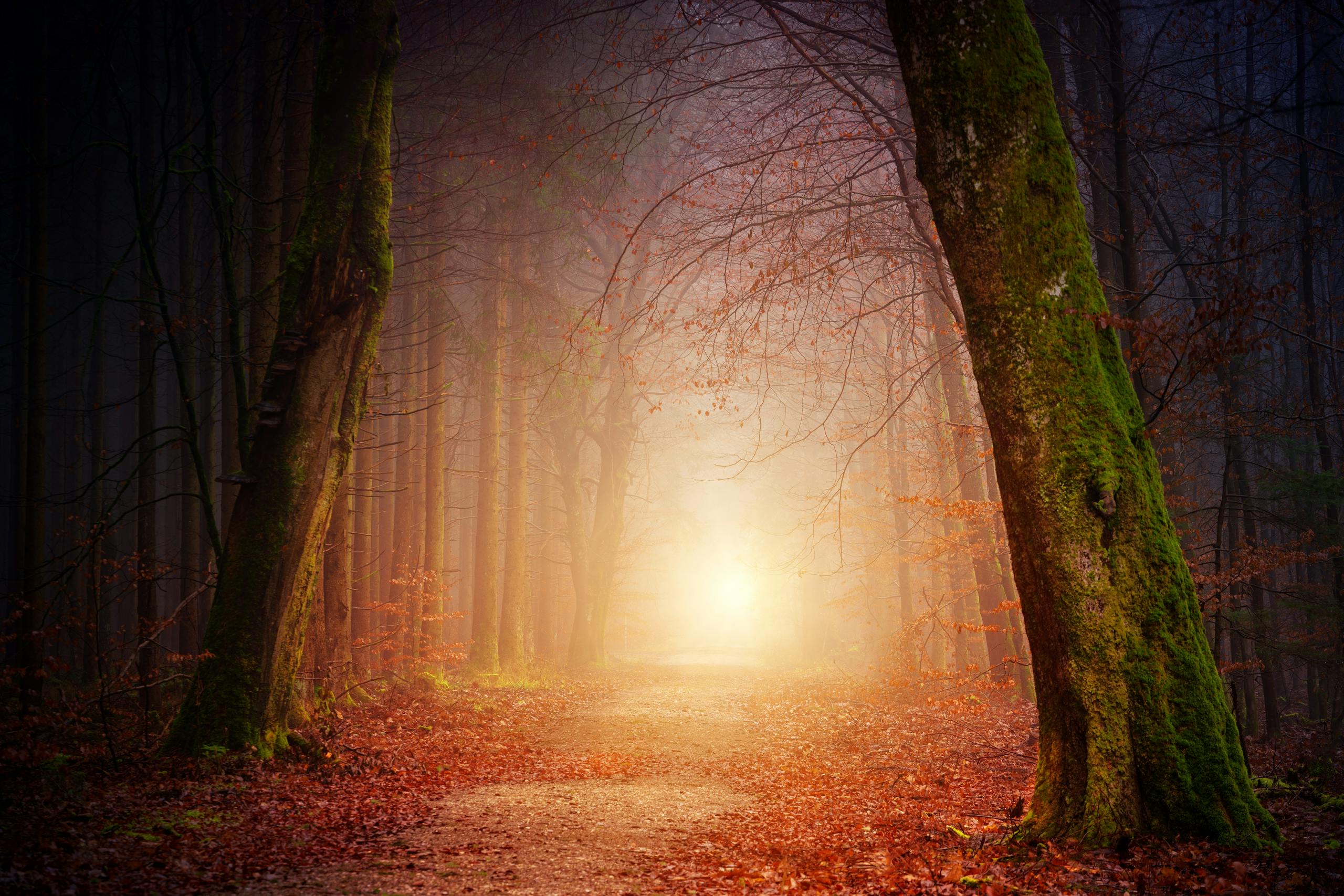 Finding Meaning and Direction with Thinking at the Edge